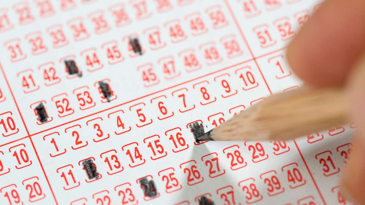 loto sonuçları