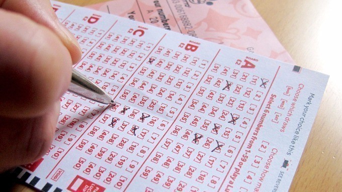 lotto check numbers online